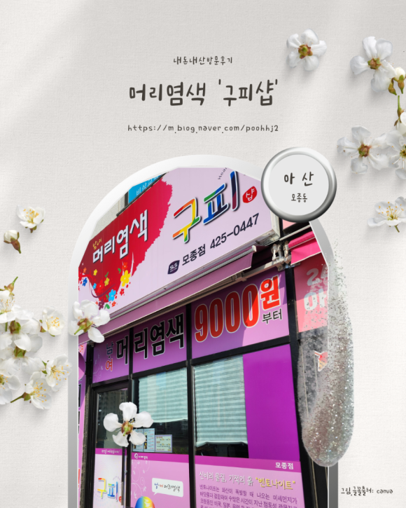 구피샵 이미지
