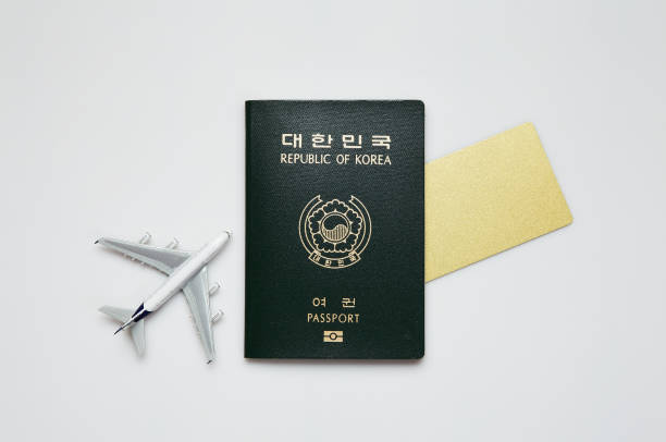 유해브썸띵 이미지