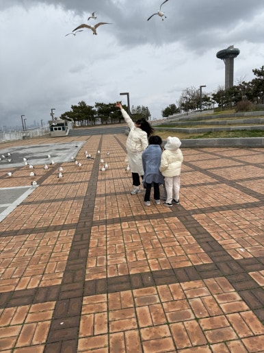 기러기다방 이미지