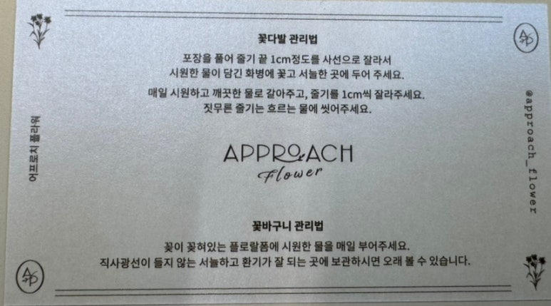어프로치플라워 이미지