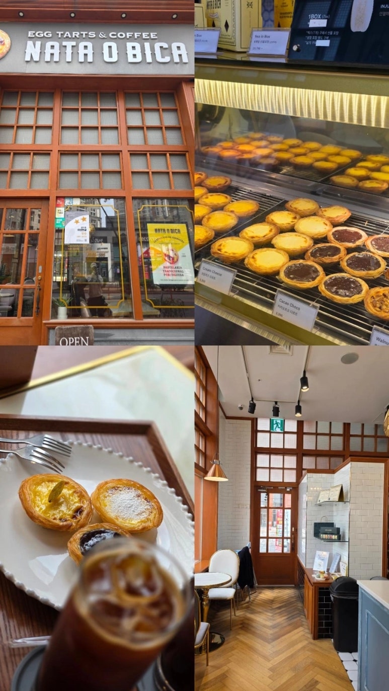나따오비까X라비타 이미지