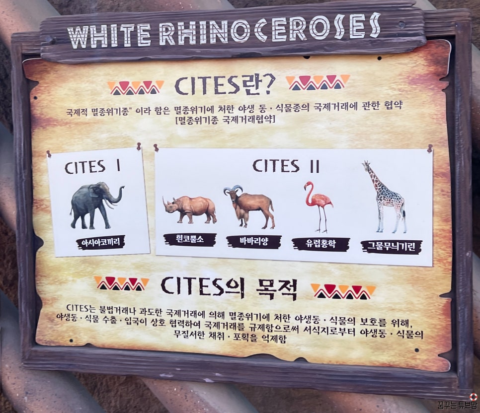 스페셜투어 이미지