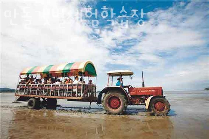 만돌갯벌체험학습장 이미지