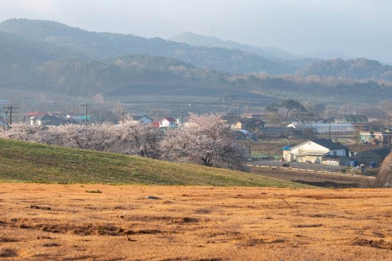 서산한우 이미지