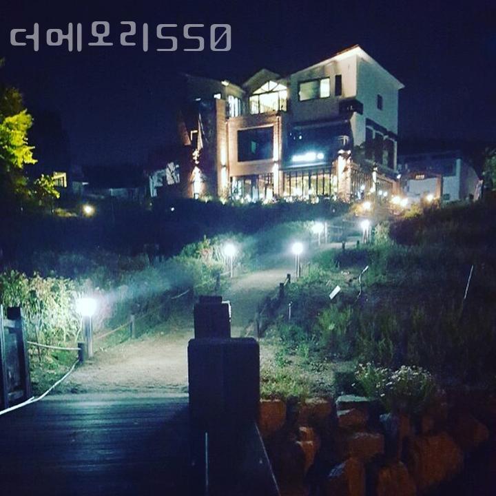 더메모리 이미지