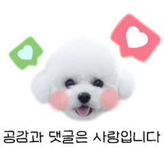 본미당 이미지