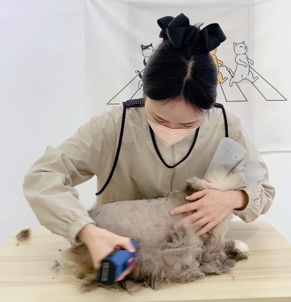 재이미 이미지