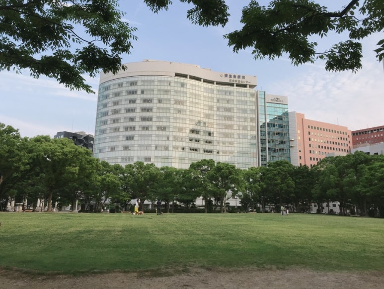 앨리스 베이프 이미지