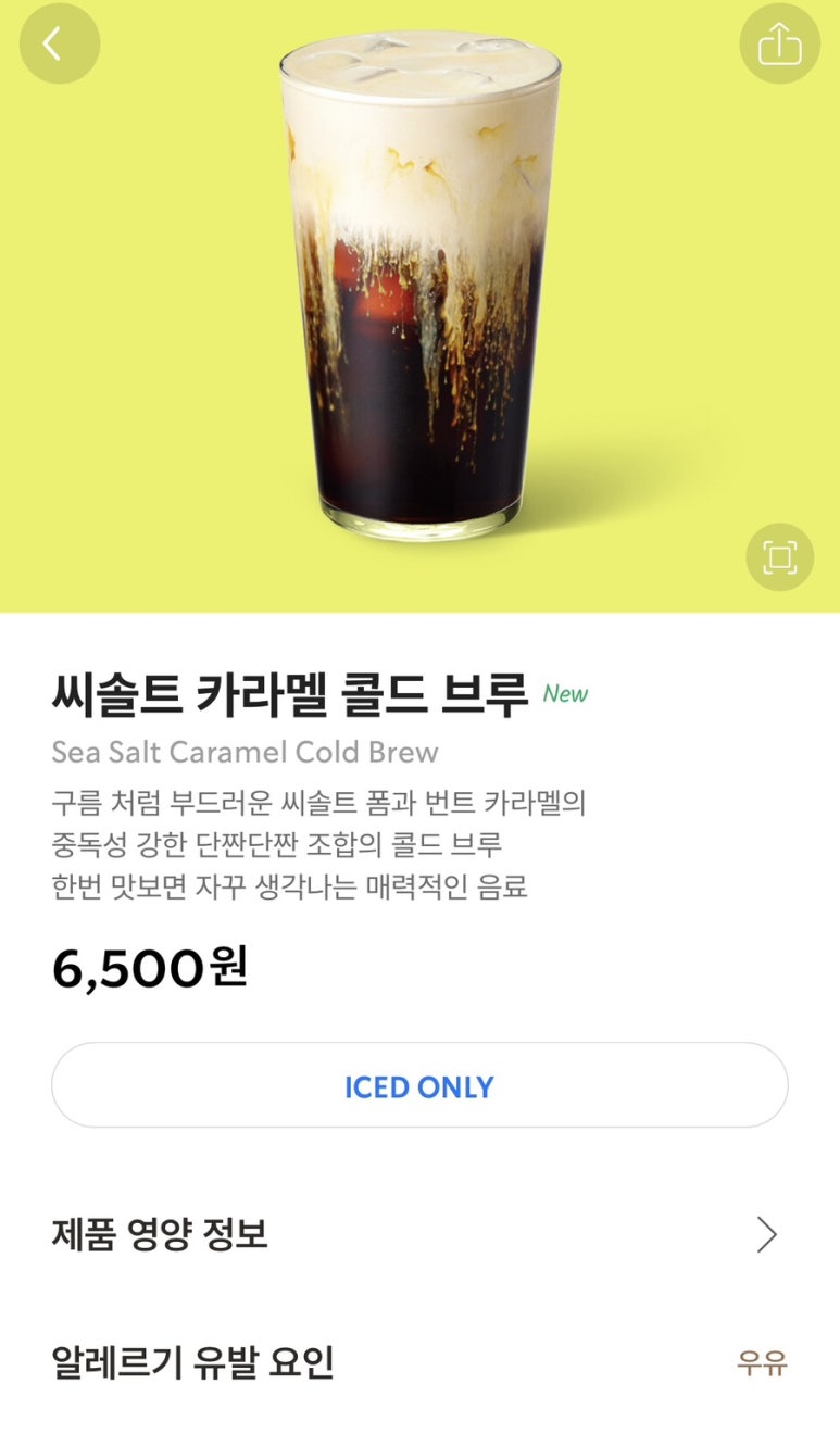 솔트씨 이미지