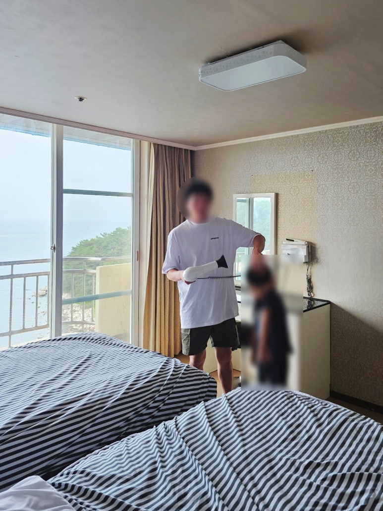 대진회센타 이미지