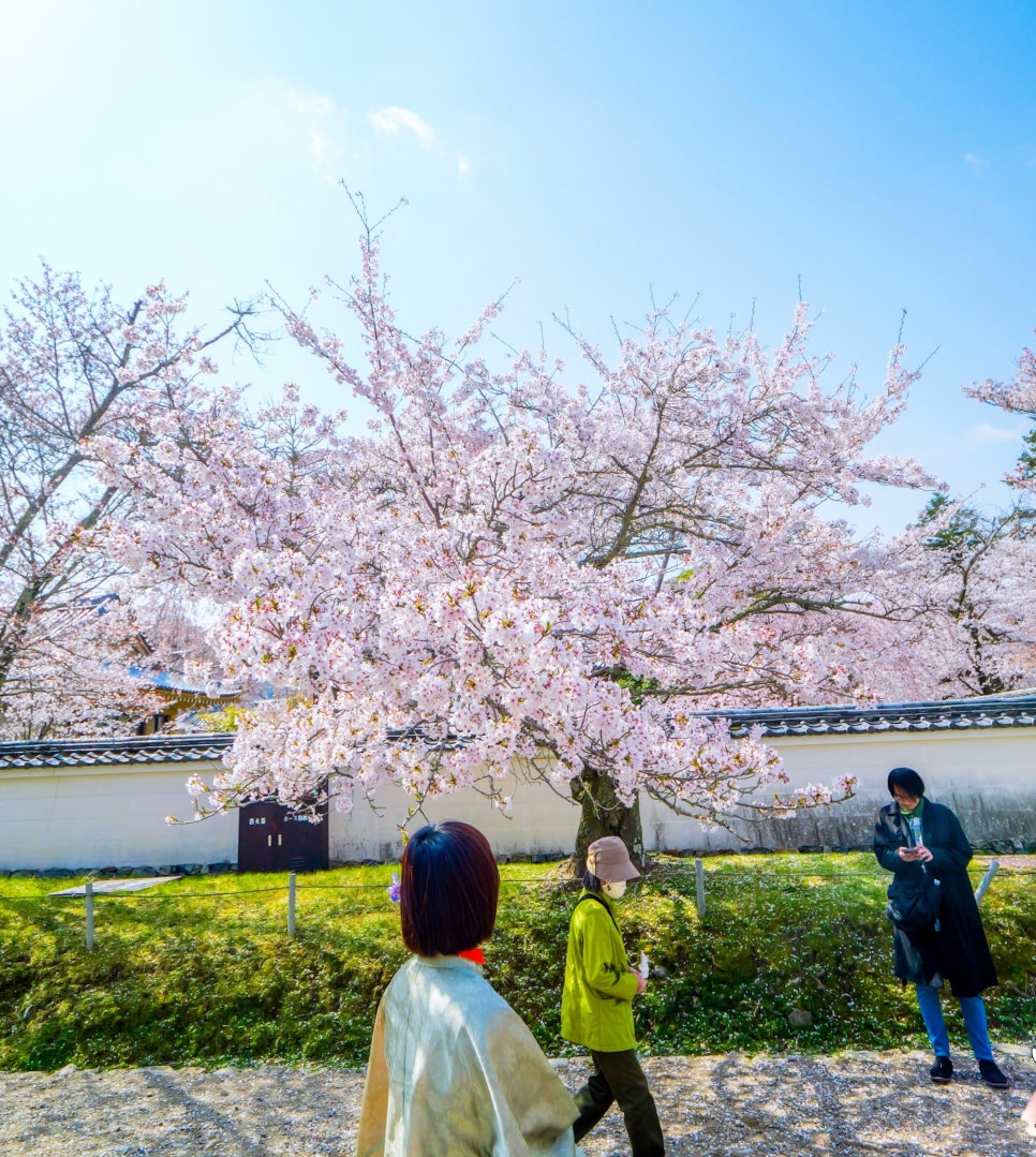 삼보원 이미지