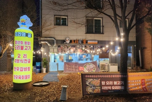 오리의 꿈 이미지