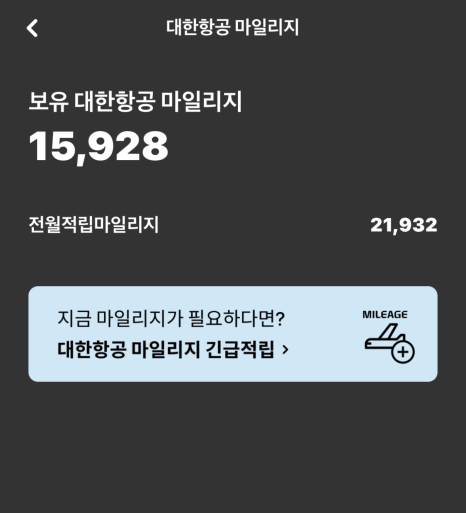 퍼스트여행사 이미지