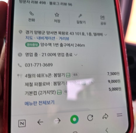 젤라떼리아빤나 이미지
