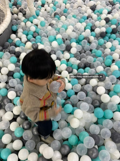 꽃핀다 이미지