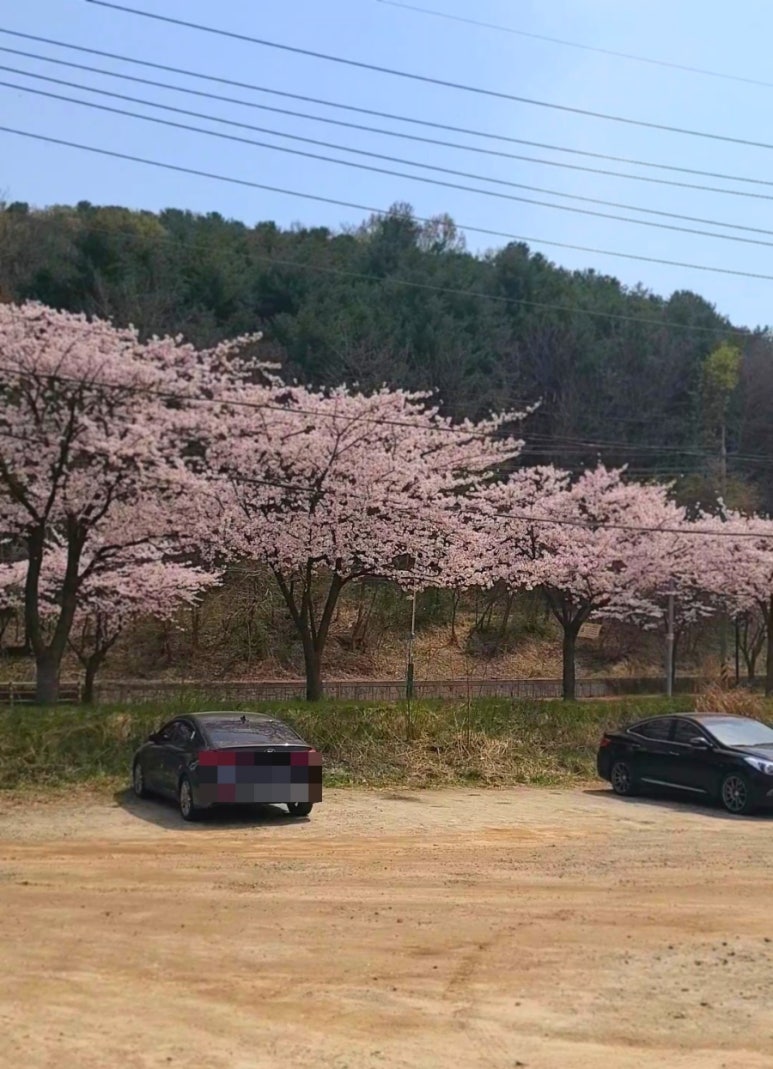 온가람 이미지
