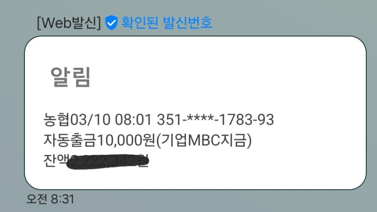 푸른세탁 이미지