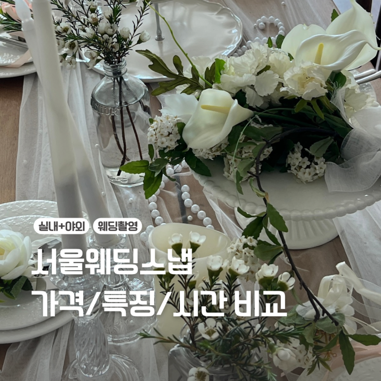 연인감정스냅 이미지