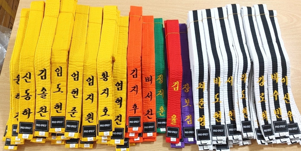 현대체육사 이미지