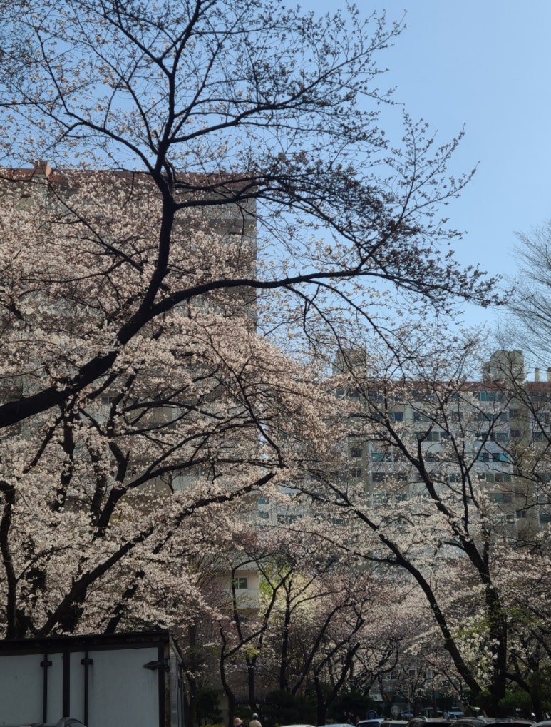 명일당 이미지