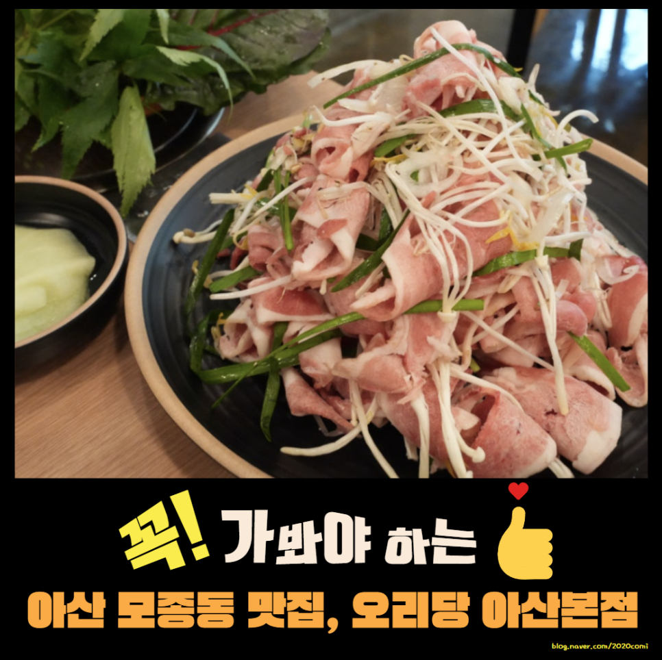오리당 이미지