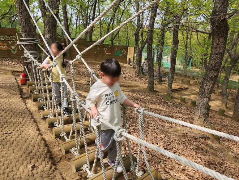 비호동산 유아숲체험원 이미지