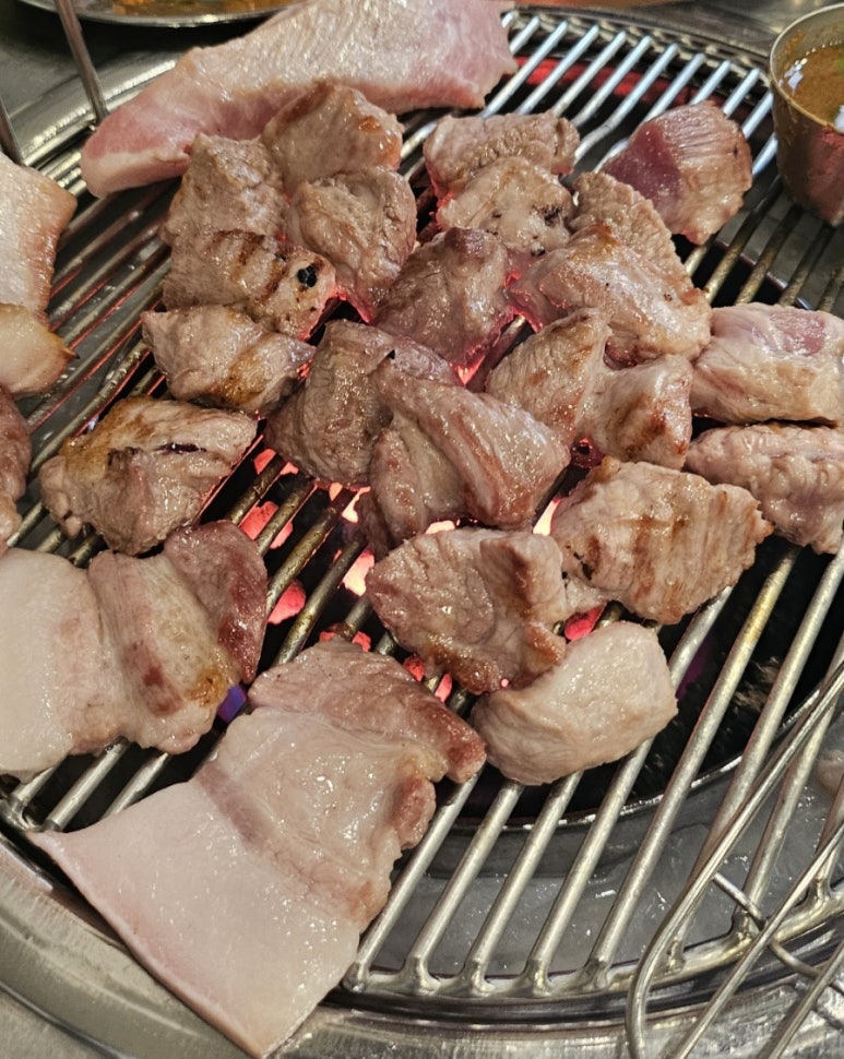 탄통제주돼지 이미지