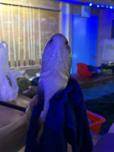나이스실내낚시터 이미지