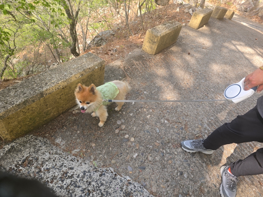 동곡식자재마트 이미지