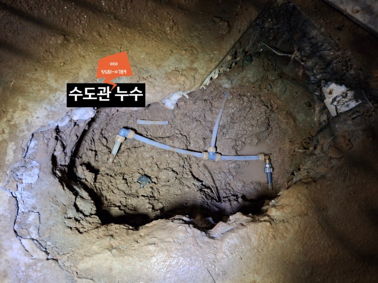 다다홈쓰 이미지