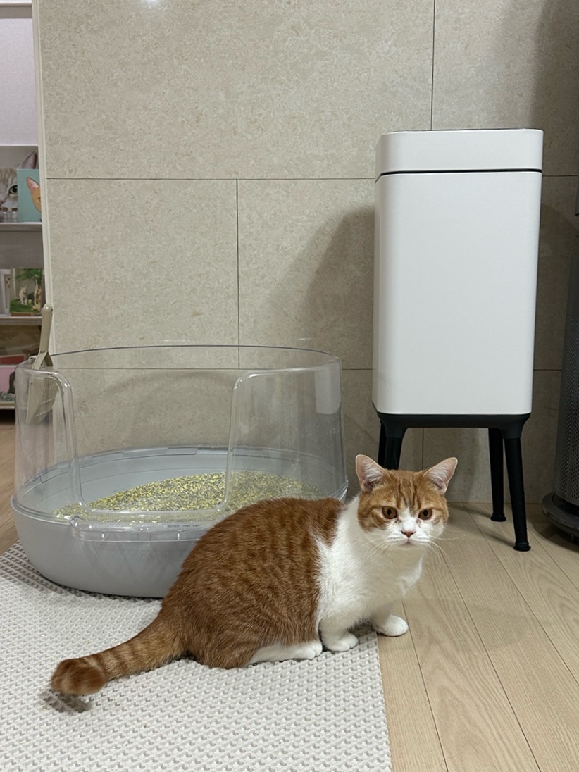 디룸 이미지