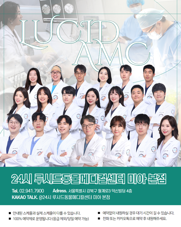 김진영내과 이미지