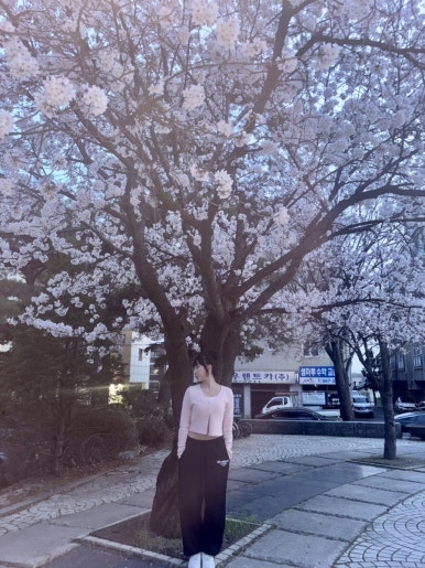 캠핑아일랜드 이미지