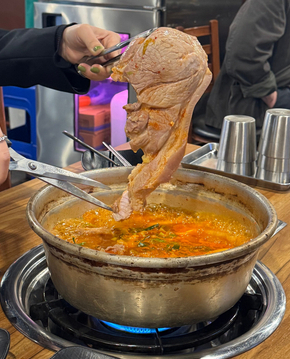 진아네 이미지