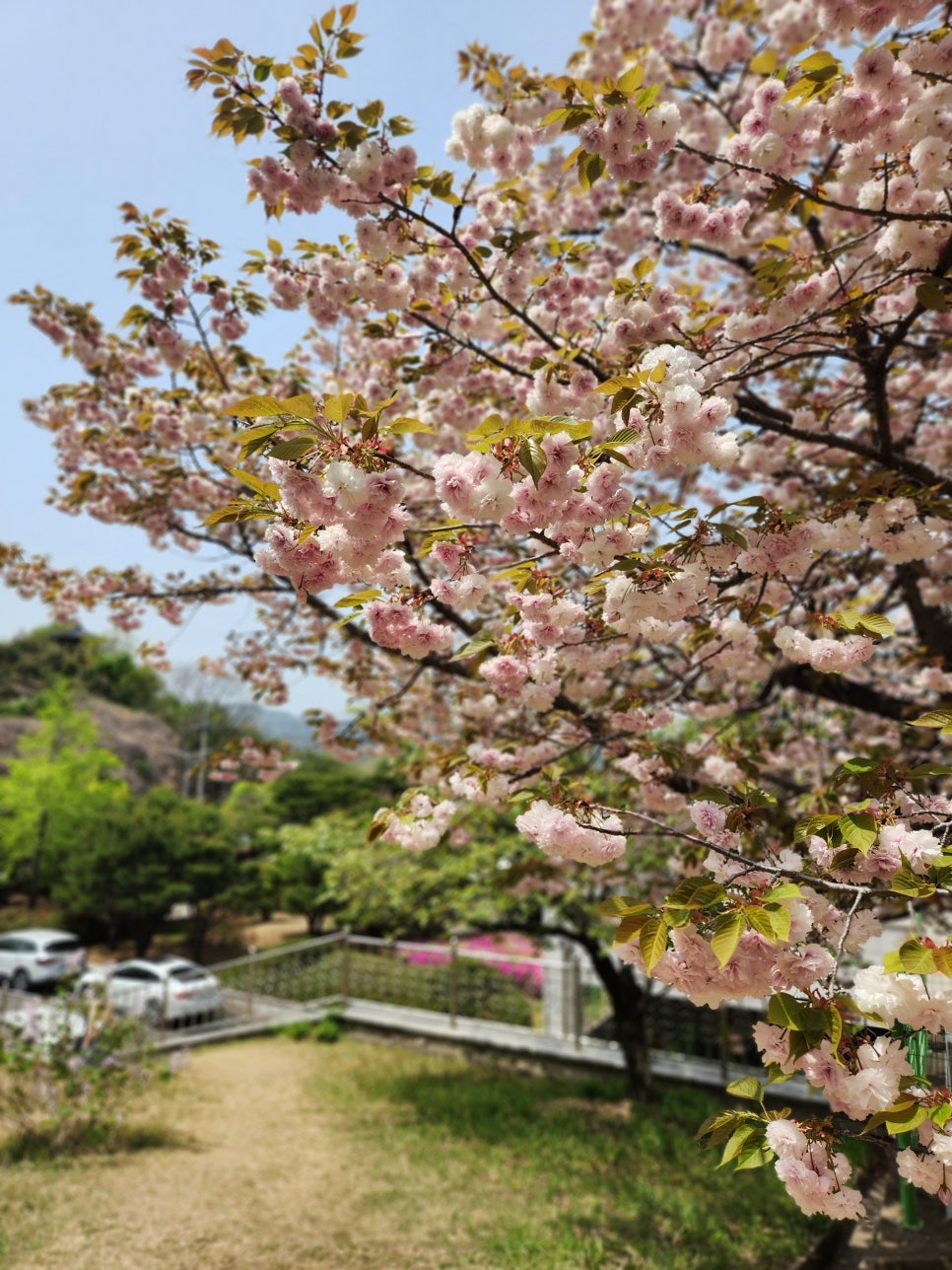 늘푸른계단 이미지