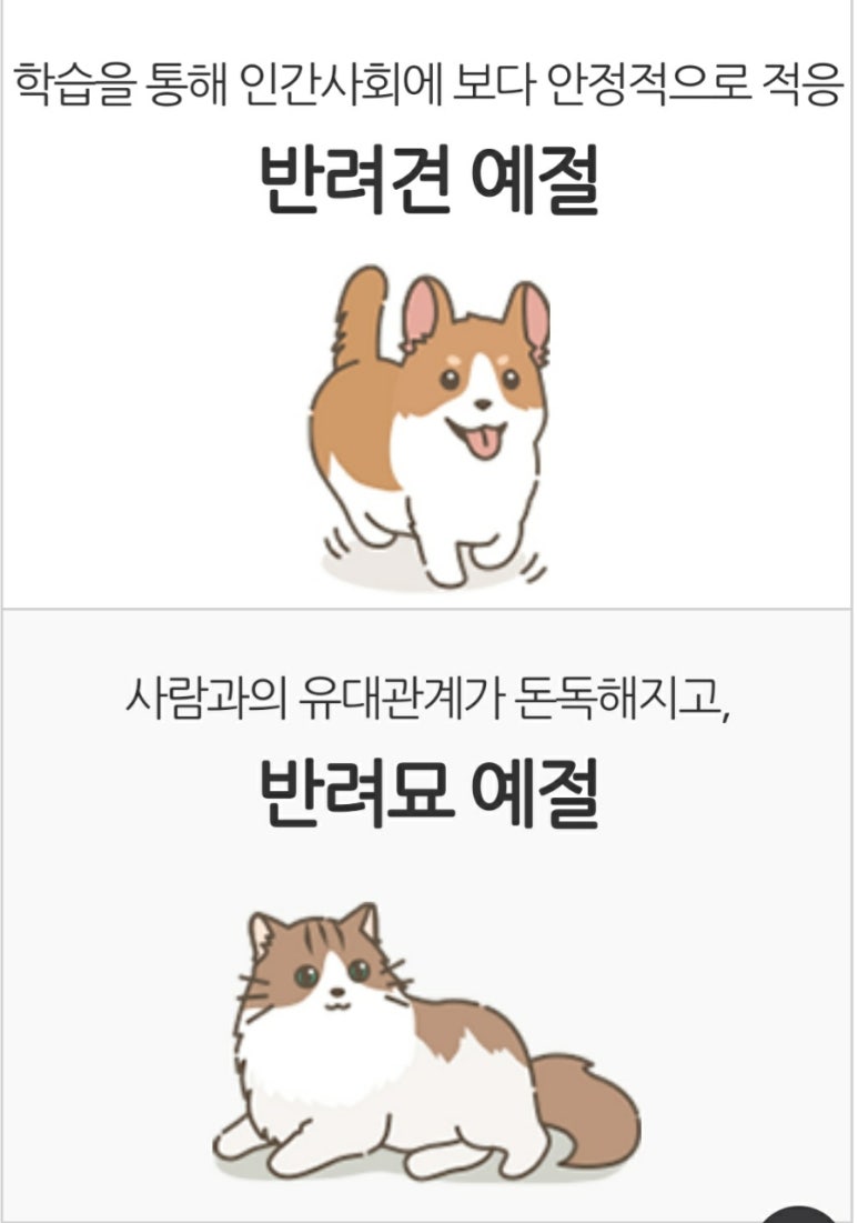 헬스라이프스토리 이미지