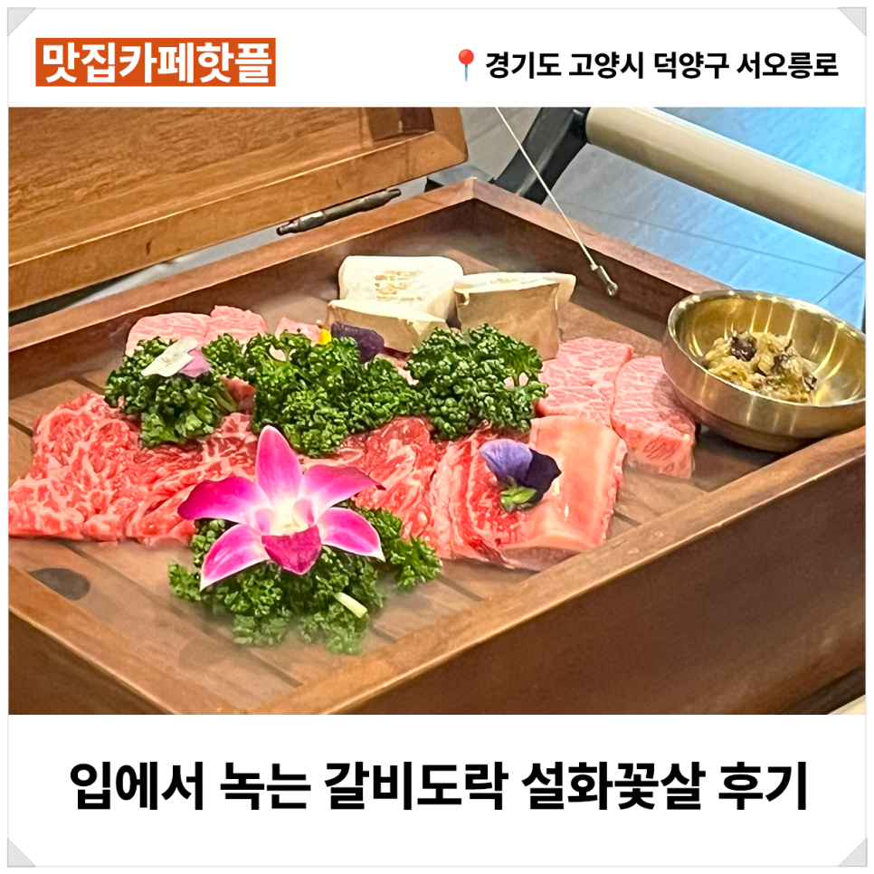 가도락 이미지