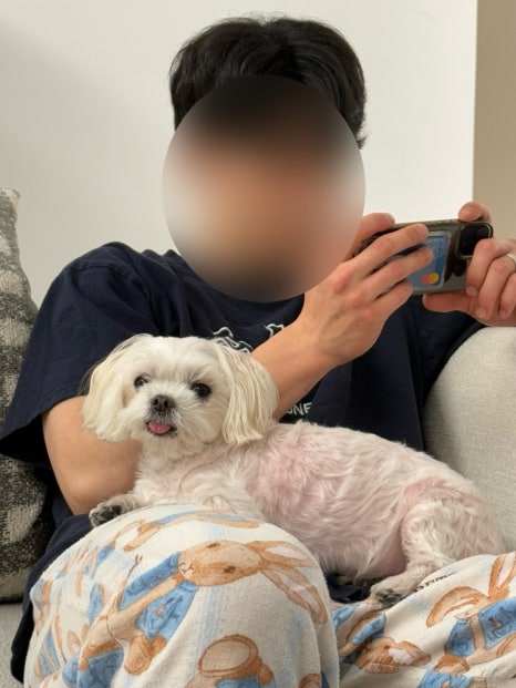 게배달다산점 이미지