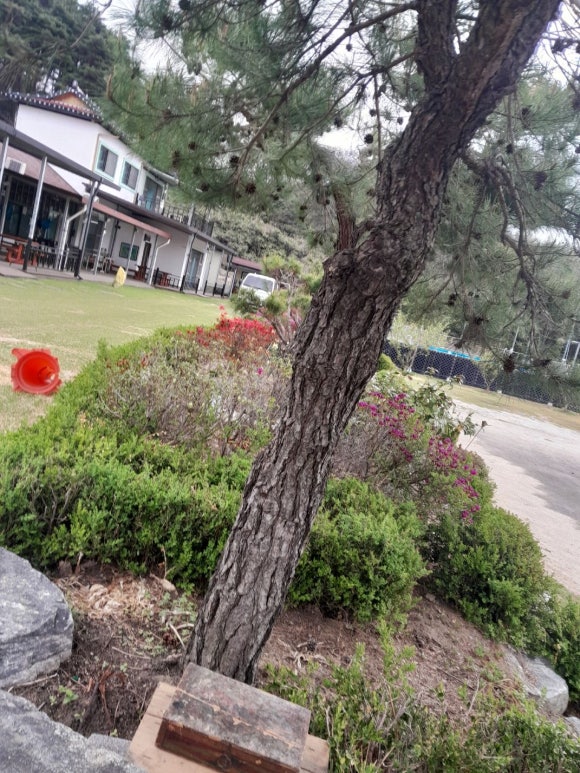 지리산학고을펜션 이미지