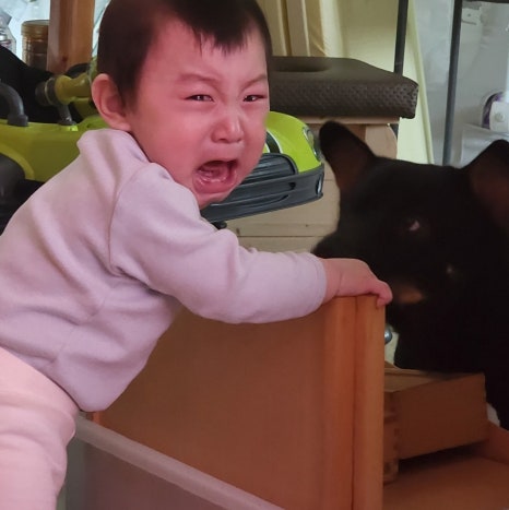 목포현대병원 이미지