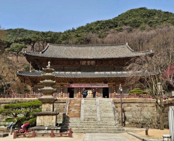 준성리조트 이미지