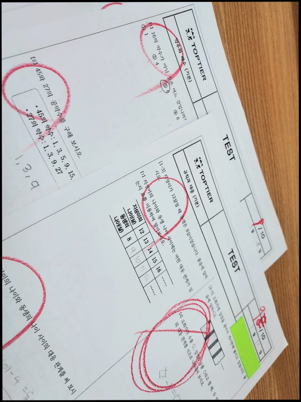 성남정자초등학교 이미지