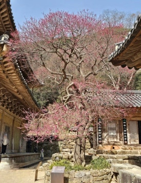 준성리조트 이미지