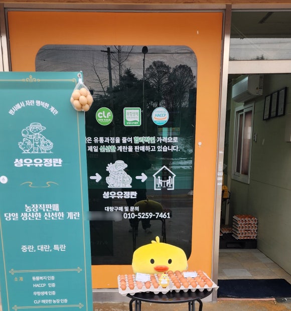 성우유정란 이미지
