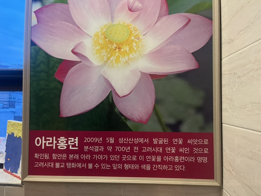 연을담은돈까스 이미지