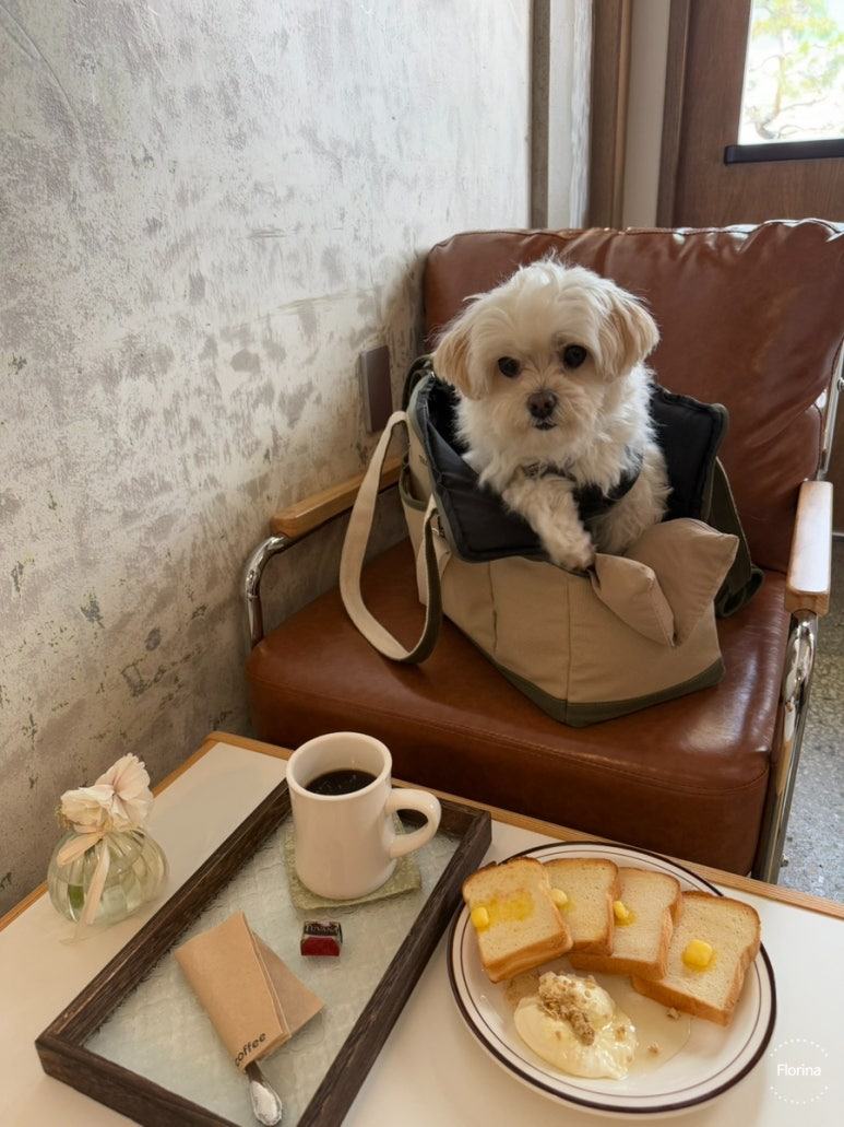 쿄우커피 이미지