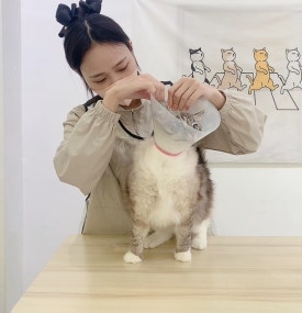 재이미 이미지