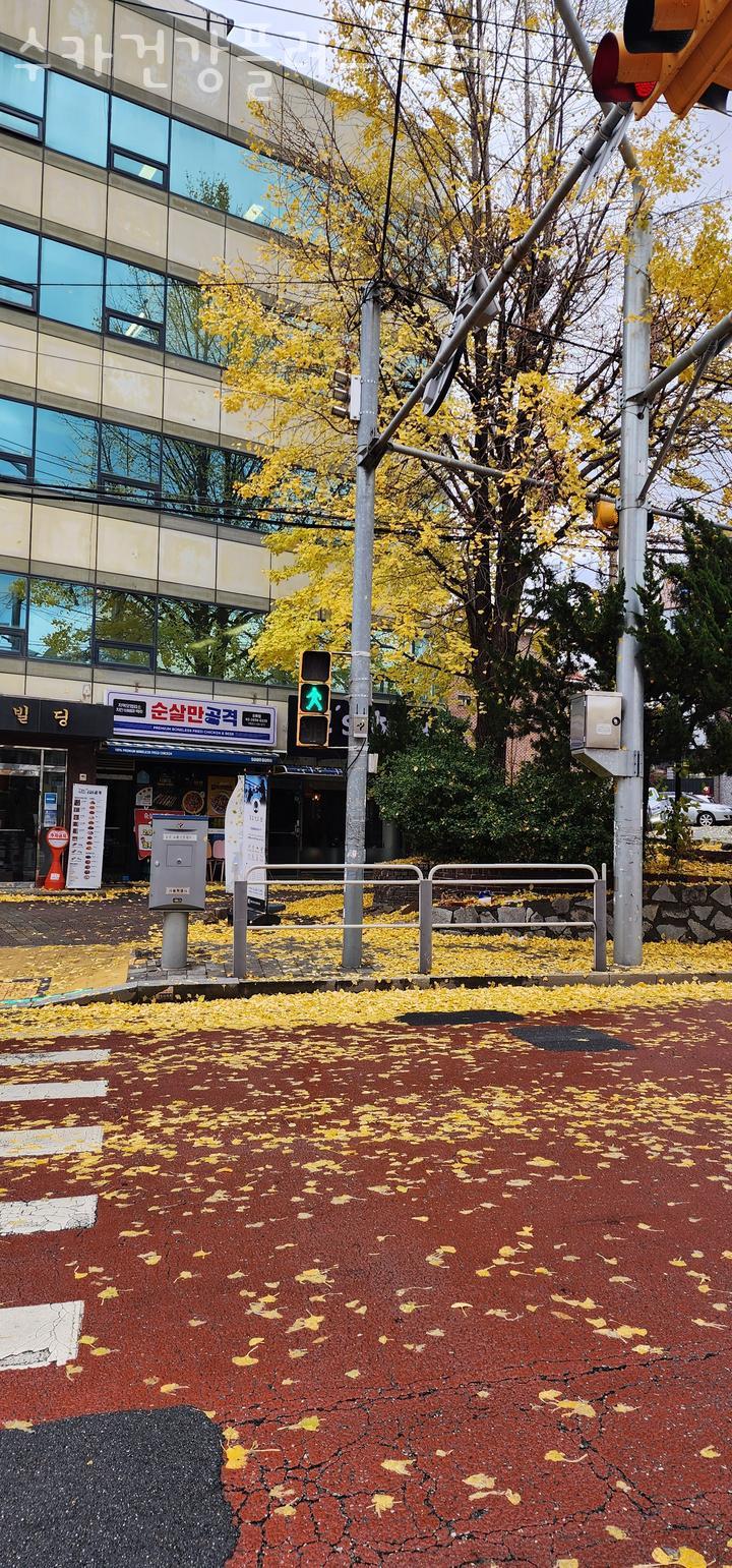 수칼 이미지