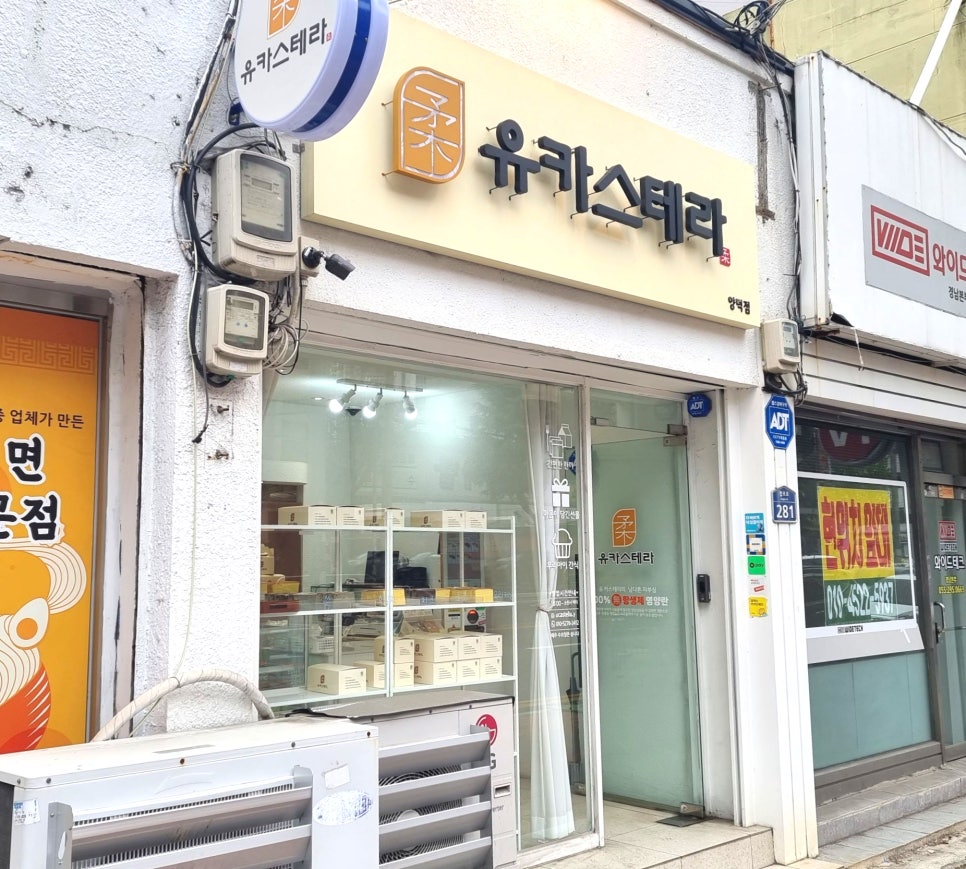 유카스테라 이미지