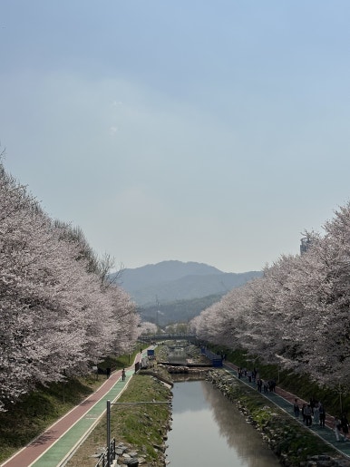 떼르 드 카페 양재점 이미지